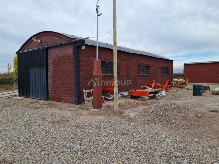 Finca en Venta en Lujan de Cuyo, Mendoza