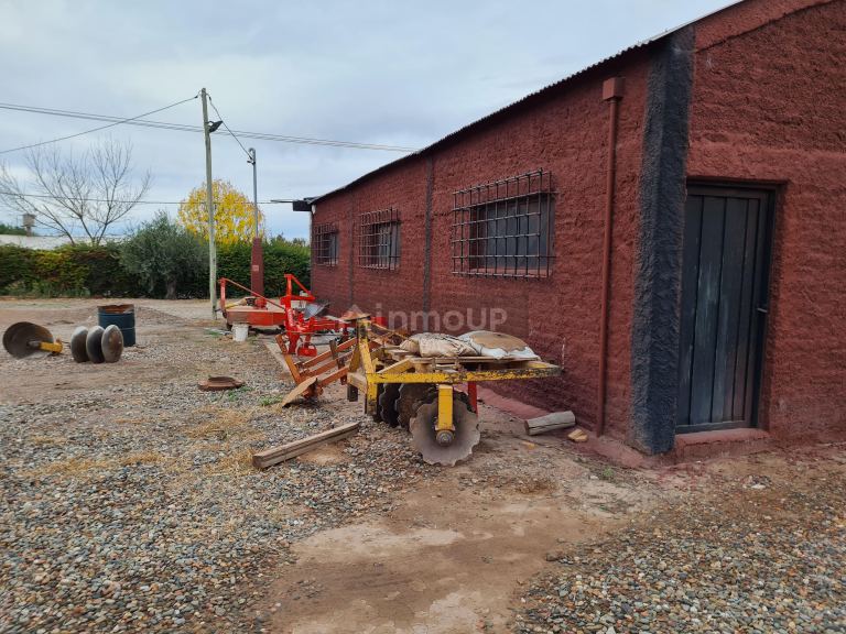 Finca en Venta en Lujan de Cuyo, Mendoza