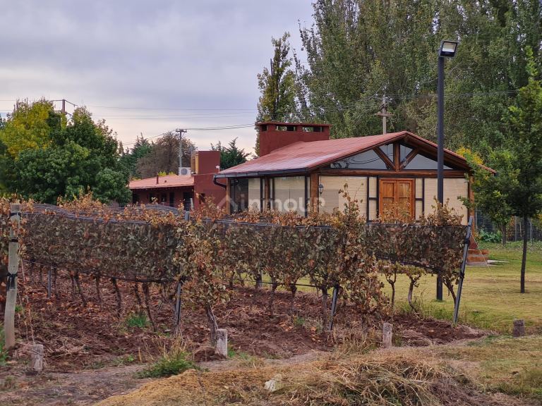Finca en Venta en Lujan de Cuyo, Mendoza