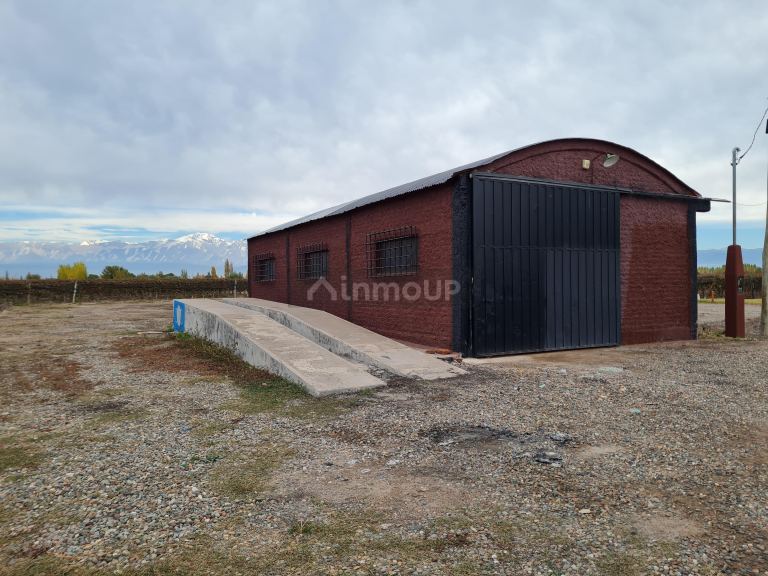 Finca en Venta en Lujan de Cuyo, Mendoza