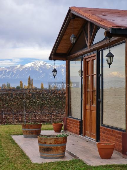 Finca en Venta en Lujan de Cuyo, Mendoza