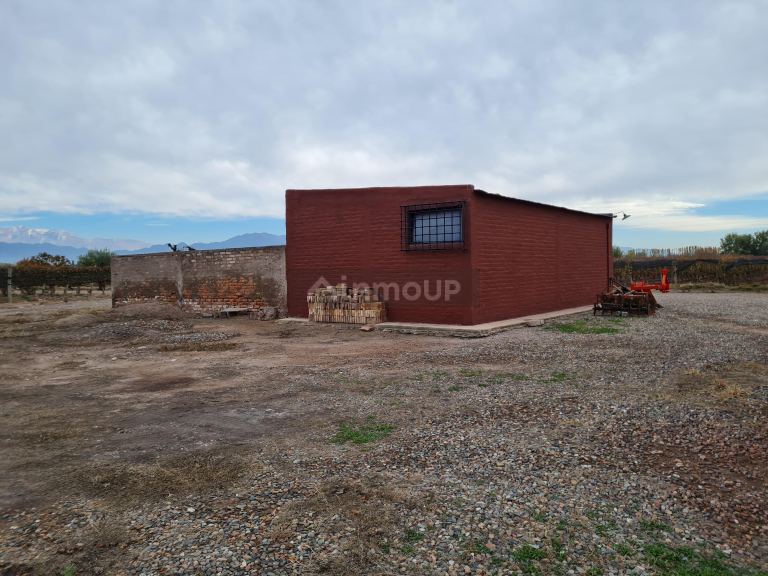 Finca en Venta en Lujan de Cuyo, Mendoza
