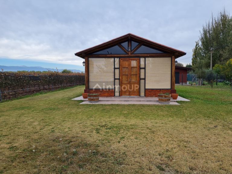 Finca en Venta en Lujan de Cuyo, Mendoza