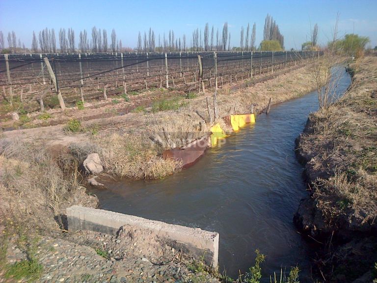 Finca en Venta en Lujan de Cuyo, Mendoza