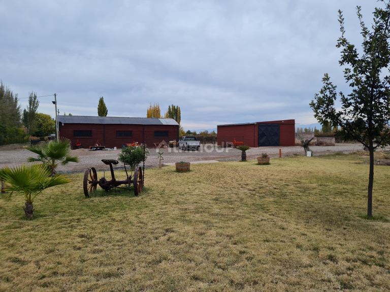 Finca en Venta en Lujan de Cuyo, Mendoza