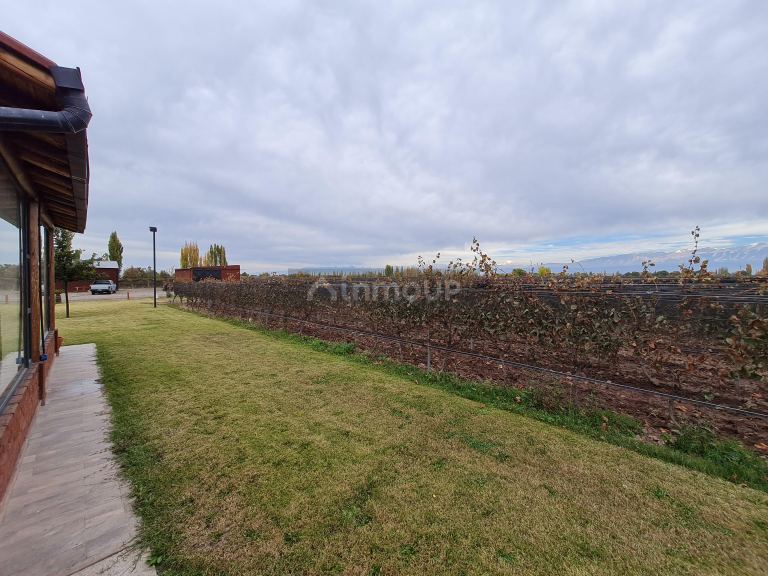 Finca en Venta en Lujan de Cuyo, Mendoza