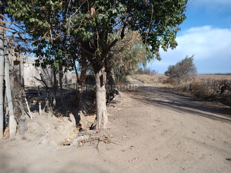 Finca en Venta en San Martin, Mendoza