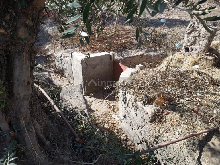 Finca en Venta en San Martin, Mendoza