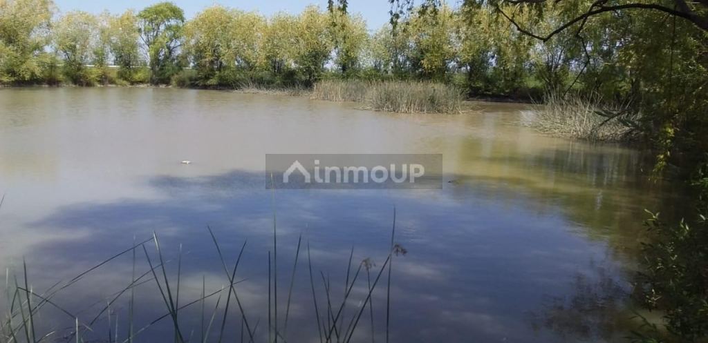 Finca en Venta en San Carlos, Mendoza