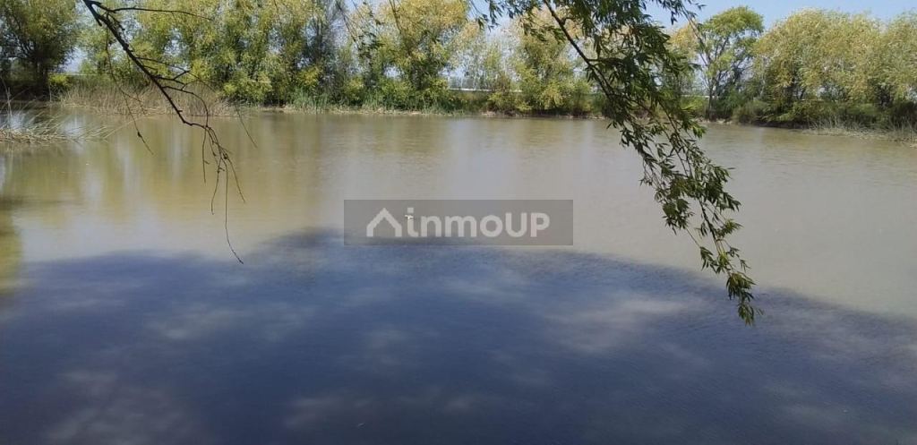 Finca en Venta en San Carlos, Mendoza