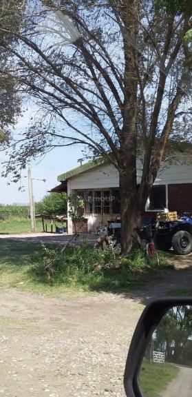Finca en Venta en San Carlos, Mendoza