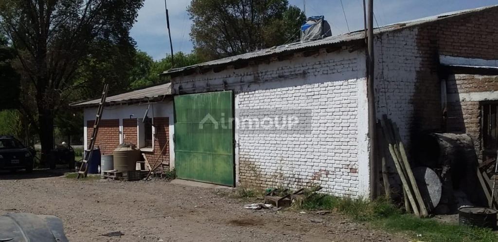 Finca en Venta en San Carlos, Mendoza