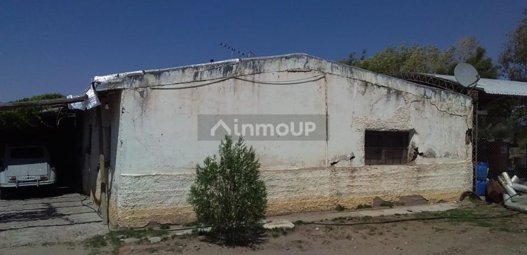 Finca en Venta en San Carlos, Mendoza