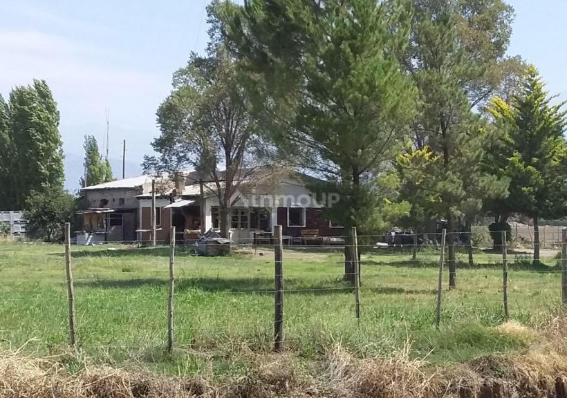 Finca en Venta en San Carlos, Mendoza