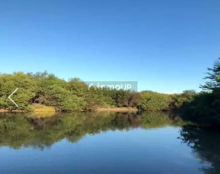 Campo en Venta en La Paz, Mendoza