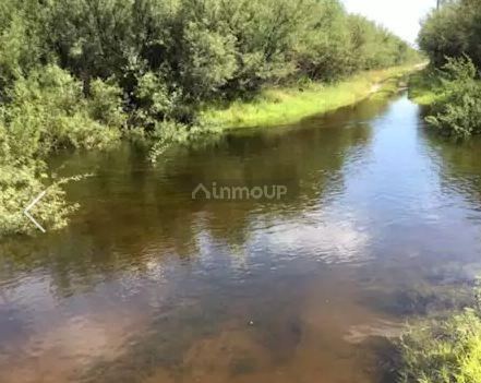 Campo en Venta en La Paz, Mendoza