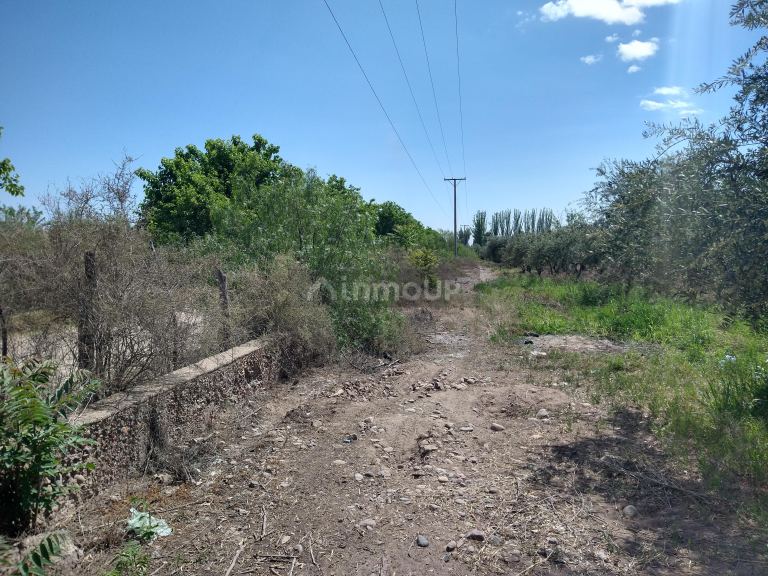 Finca en Venta en Maipu, Mendoza