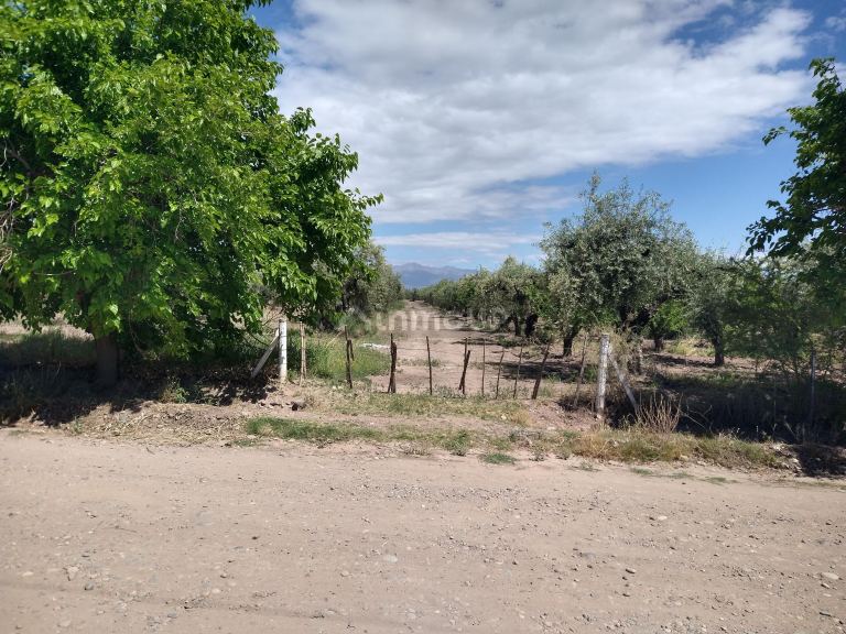 Finca en Venta en Maipu, Mendoza
