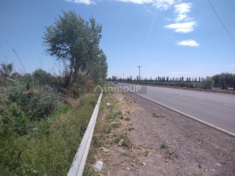 Finca en Venta en Maipu, Mendoza