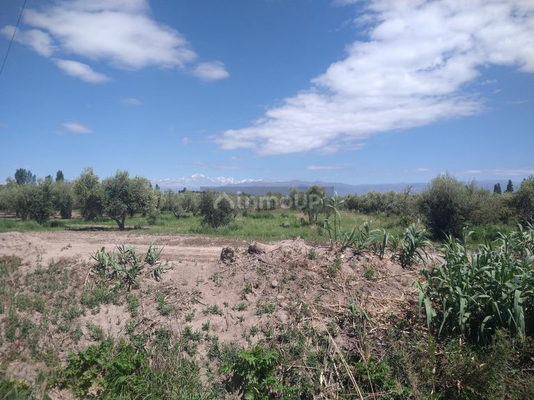 Finca en Venta en Maipu, Mendoza