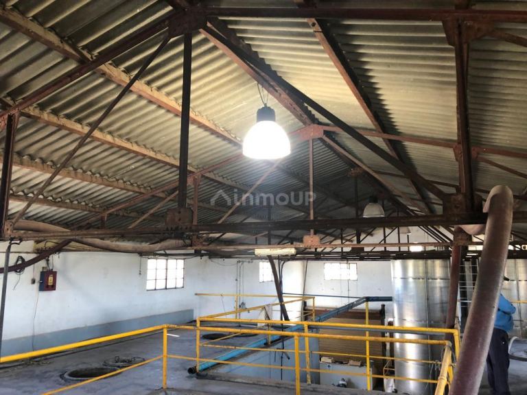 Bodega en Venta en San Martin, Mendoza