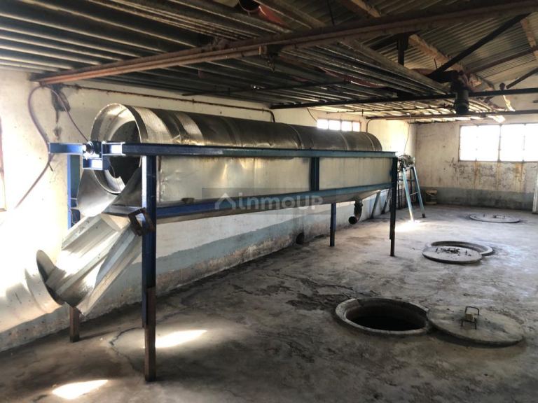 Bodega en Venta en San Martin, Mendoza