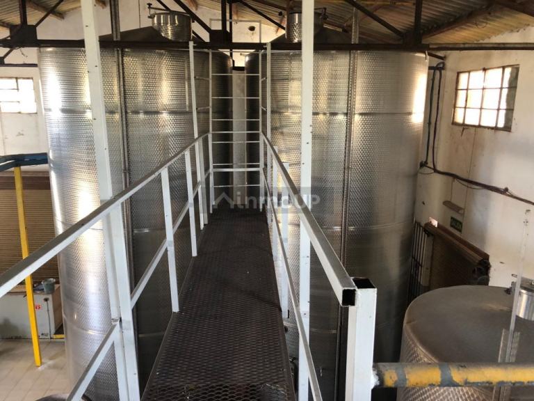 Bodega en Venta en San Martin, Mendoza