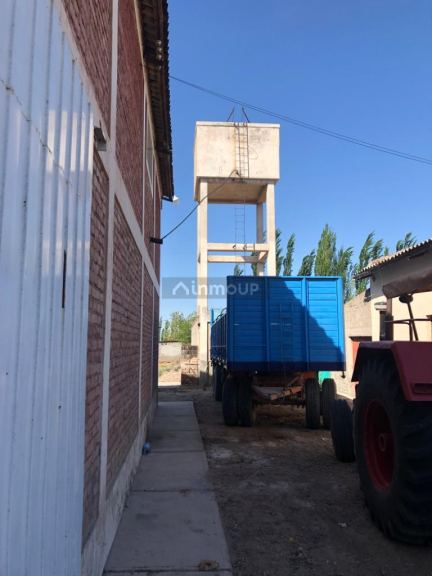 Bodega en Venta en San Martin, Mendoza
