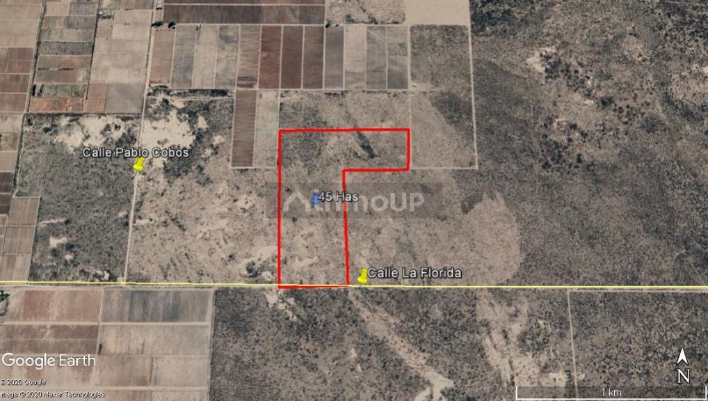 Finca en Venta en Santa Rosa, Mendoza