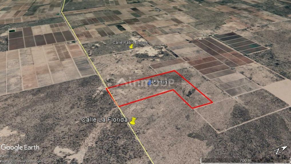 Finca en Venta en Santa Rosa, Mendoza
