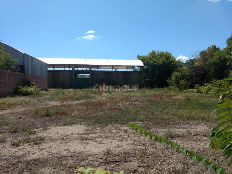 Lote en Venta en Tunuyan, Mendoza