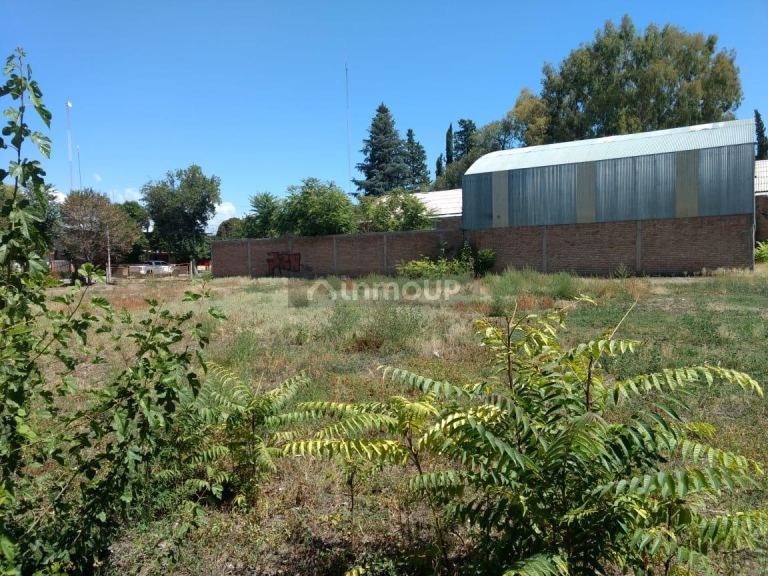 Lote en Venta en Tunuyan, Mendoza