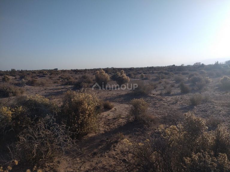 Campo en Venta en Lavalle, Mendoza