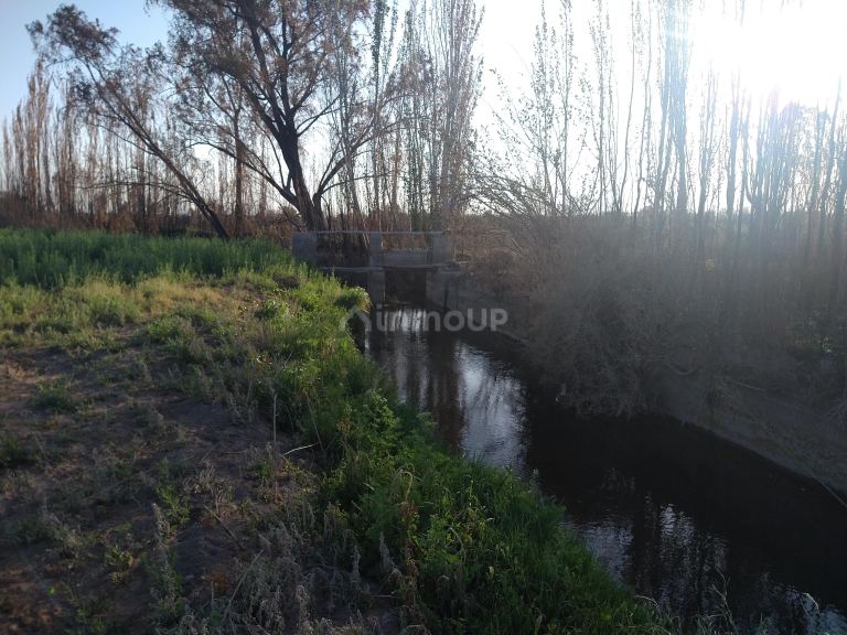 Campo en Venta en Lavalle, Mendoza