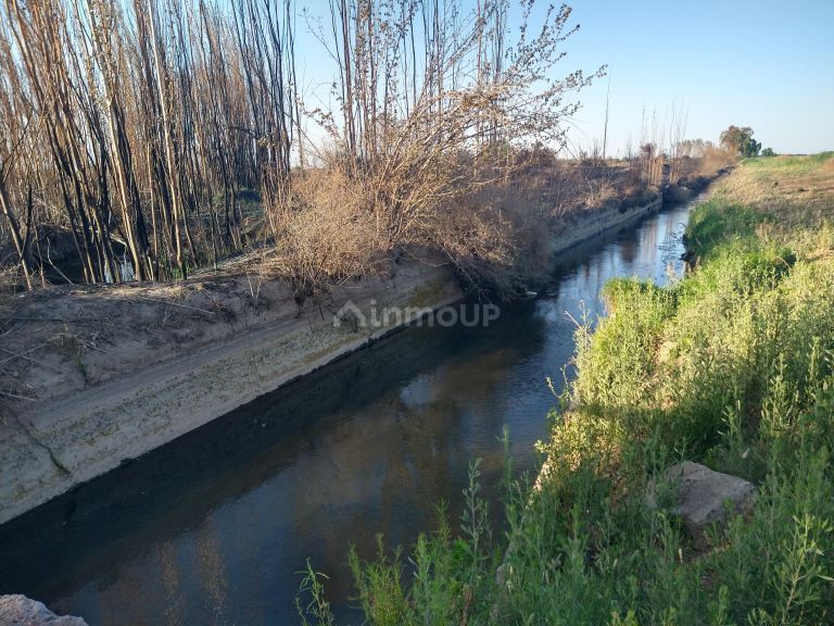 Campo en Venta en Lavalle, Mendoza