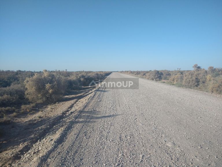 Campo en Venta en Lavalle, Mendoza