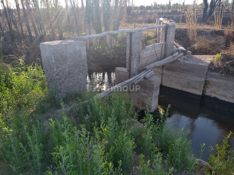 Campo en Venta en Lavalle, Mendoza