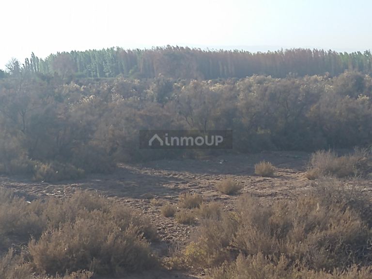 Campo en Venta en Lavalle, Mendoza