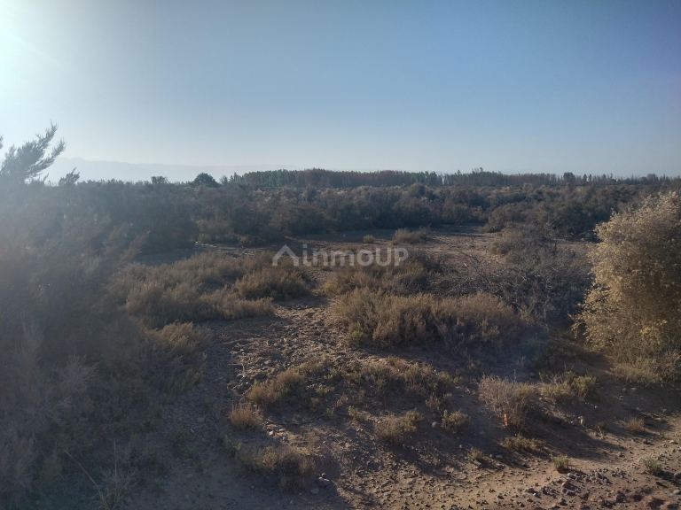 Campo en Venta en Lavalle, Mendoza