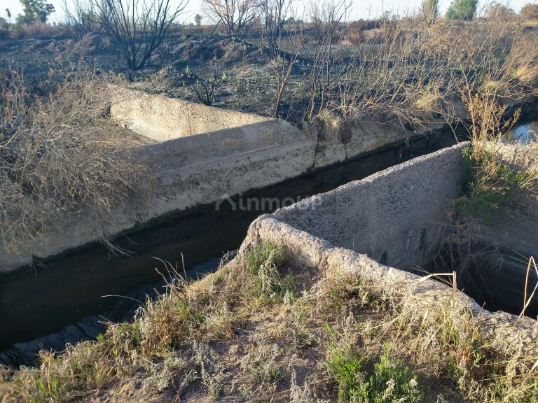 Campo en Venta en Lavalle, Mendoza