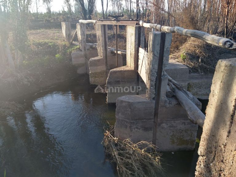 Campo en Venta en Lavalle, Mendoza