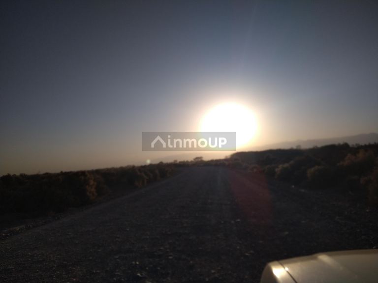 Campo en Venta en Lavalle, Mendoza
