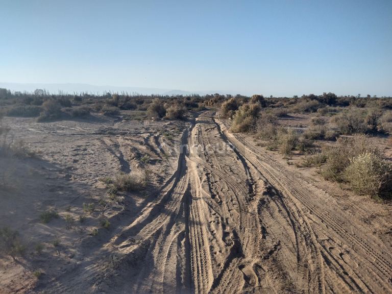 Campo en Venta en Lavalle, Mendoza