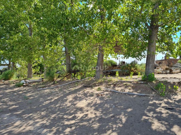 Finca en Venta en San Martin, Mendoza
