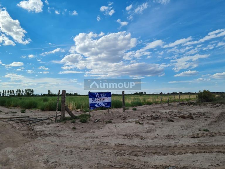 Finca en Venta en San Martin, Mendoza