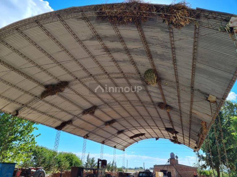 Finca en Venta en San Martin, Mendoza