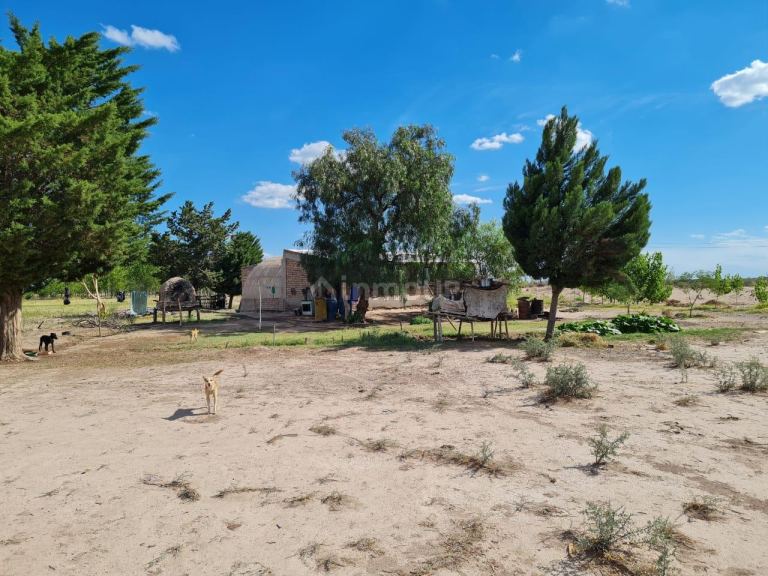 Finca en Venta en San Martin, Mendoza