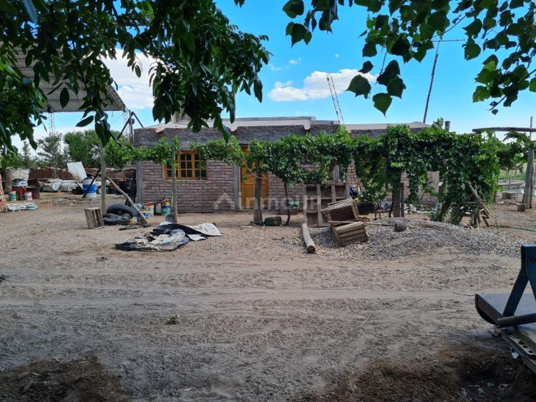 Finca en Venta en San Martin, Mendoza