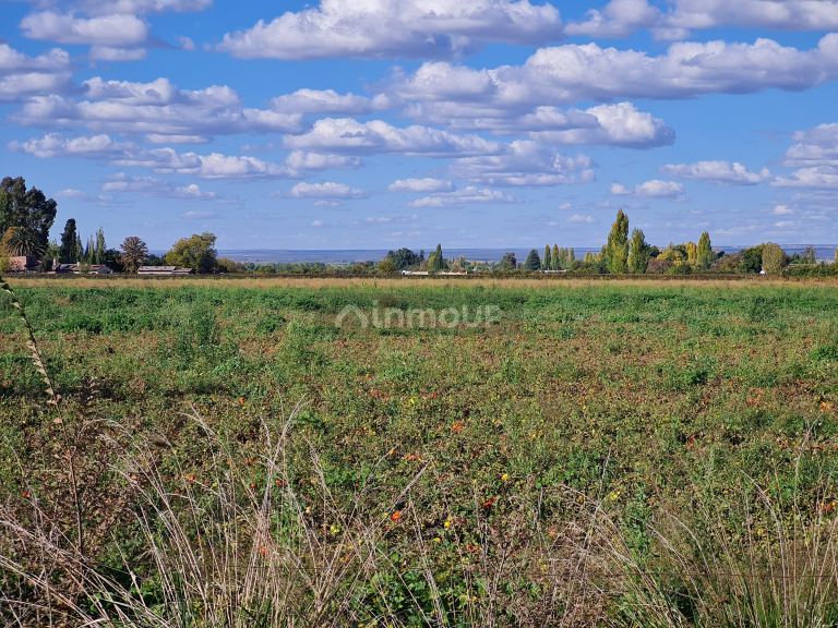 Finca en Venta en San Carlos, Mendoza