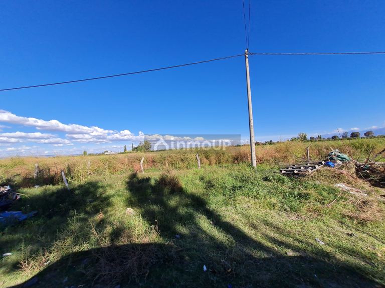 Finca en Venta en San Carlos, Mendoza